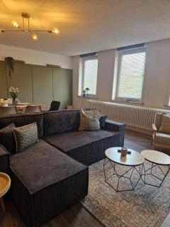 3 Zimmer Ferienwohnung Harter Brocken - Sankt Andreasberg - 9