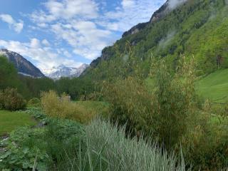 Revier caravan-ig und cool - 3