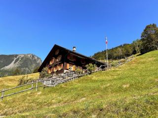 Revier hike to Herrenegg - 4