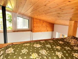 Revier Fuchs und Has - 1