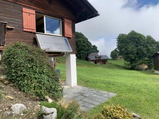 Revier Silberdistel im Schwettiberg - Braunwald - 4