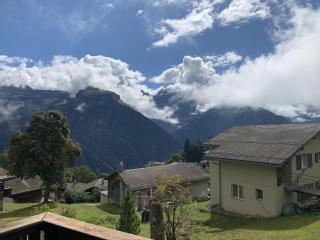 Revier Silberdistel im Schwettiberg - Braunwald - 7