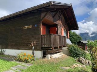 Revier Silberdistel im Schwettiberg - Braunwald - 8
