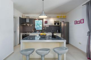 Malerische Villa mit Privatpool, mediterranem Garten, Outdoor-Kueche, Waschmaschine, Trockner - Višnjan - 1