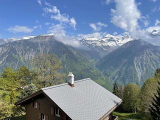 Revier Seebueb am Waldhausweg - Braunwald - 4
