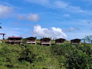 Cabañas venado - - 8