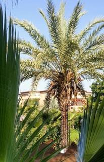 Weedan Hôtel Marrakech - 1