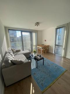 Modern 1 bedroom flat - Londra - 0