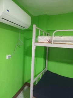 Joshua Transient - 5