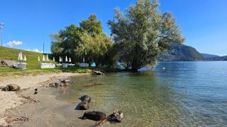 Charlotte EMOZIONI VISTA Lago, Centro e giri in Battello - Verbania - 9