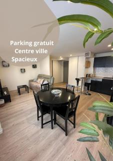LE DOUILLET - Parking gratuit - Centre ville - Pau - 0