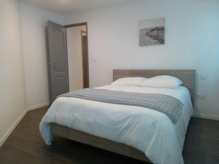 LE DOUILLET - Parking gratuit - Centre ville - Pau - 4