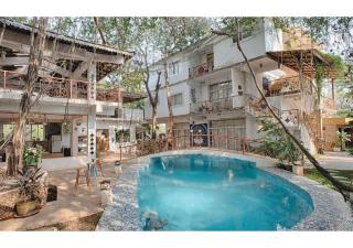 Vibes Inn Singing Tree - 3