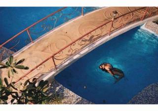 Vibes Inn Singing Tree - 2