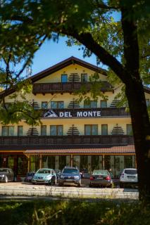 Del Monte Predeal - Predeal - 8