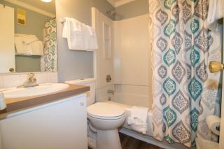 ML204 Bright And Airy Chairlift View WiFi EZ Parking - Dunmore - 5