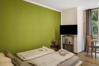 Deluxe Studio in der Stadt Freiburg - Friburgo em Brisgóvia - 5