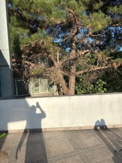 Генерала вия чаир - 8