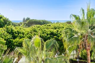 Penthouse Sol y Mar -  - 9