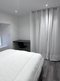 Appartement T4 en Hyper-centre - Bourgoin - 5