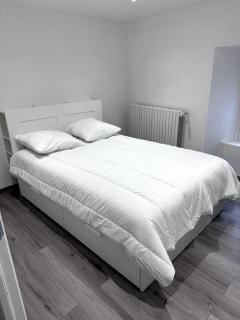 Appartement T4 en Hyper-centre - Bourgoin - 3