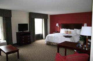 Hampton Inn & Suites Millington - Millington - 6