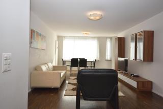 Amazing 2BR near Lake - Flower 33 - Zurigo - 8
