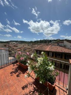 Firenze panorama Suite & terrace - Florence - 7