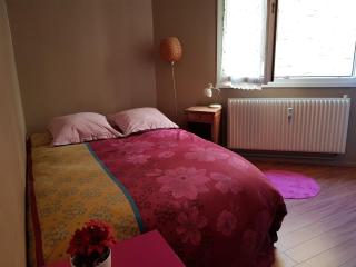 Appartement de l'Étoile - Le Mans - 2