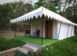 Woods Creek - Dandeli - 9
