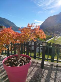Villa Aprica Appartamenti - Molveno - 4