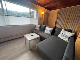 Large Studio LIGHT & VIEWS - Beautiful with Deck - Message Direct - 6