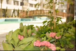 Fanadir bay resort - 4