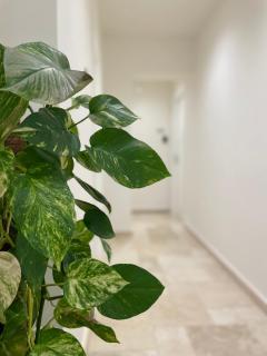 Villa Achiropita - Rossano - 9