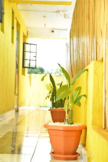 RosaBlu Hotel Kutus - 5