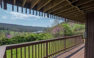Lake View Condo - Basye - 9