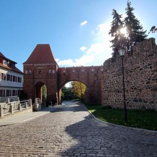 Apartament Skandia - Toruń - 8