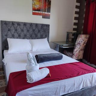 Hotel Hollywood Paradise ZF - Rionegro - 1