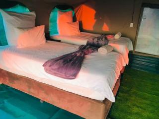 Hippo Paradise Lodge and Campsites - 5