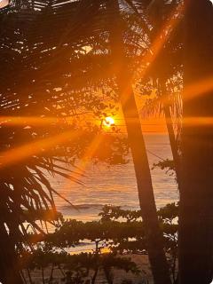 Beachfront sunset Bungalow - Arío - 4