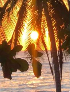 Beachfront sunset Bungalow - Arío - 1