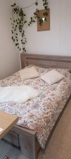 le petit cocon - Montbozon - 9