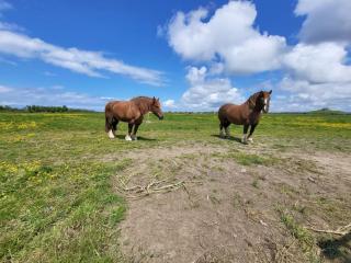 Le repère de Saint Mathieu - 4