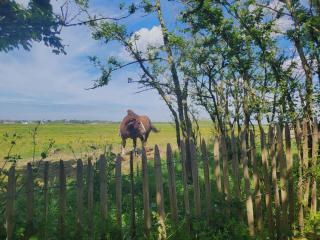 Le repère de Saint Mathieu - 1