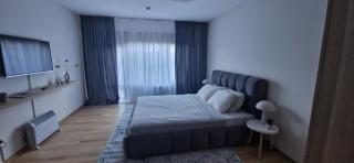 Free SPA Pirin lodge cosy apartment - Bansko - 1