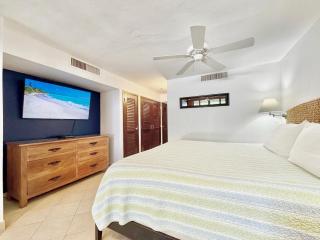 Sapphire Beachfront, Free Wi Fi, Pool, Snorkeling Amazing View! - - 7