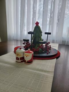 Cozy Home with Whole main floor - 5