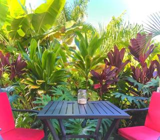Central Oceanview Modern Cozy 3 Bed House - Kailua-Kona - 5