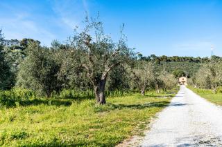 Casa di Allegra Terme di Venturina - Happy Rentals - Campiglia Marittima - 6