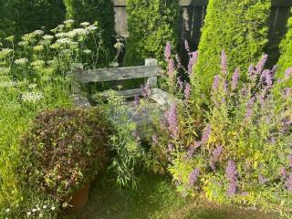 Kew Cottage - Greytown - 7